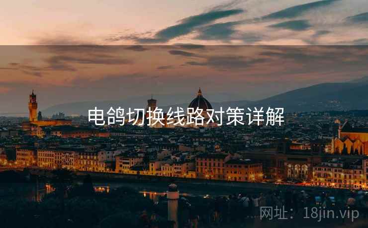 电鸽切换线路对策详解