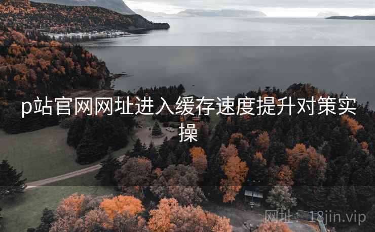 p站官网网址进入缓存速度提升对策实操