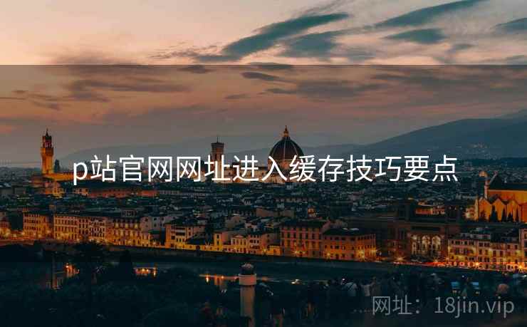p站官网网址进入缓存技巧要点