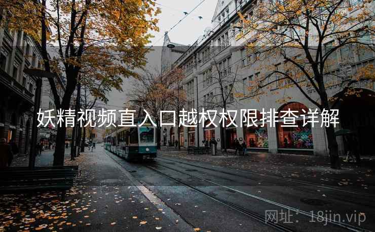 妖精视频直入口越权权限排查详解