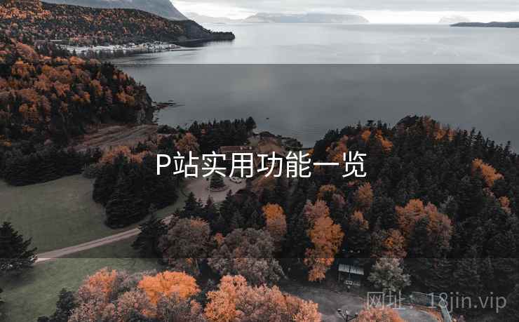 P站实用功能一览