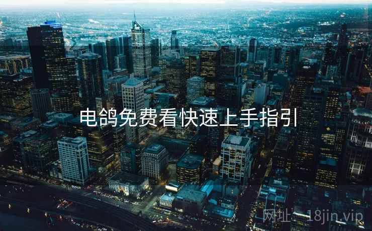 电鸽免费看快速上手指引