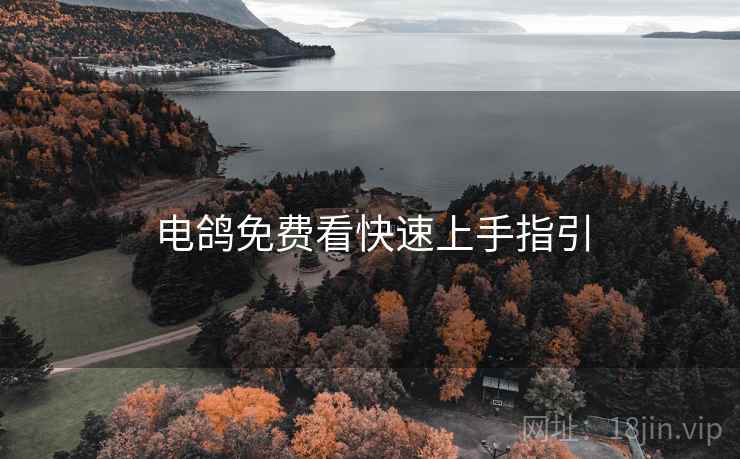 电鸽免费看快速上手指引