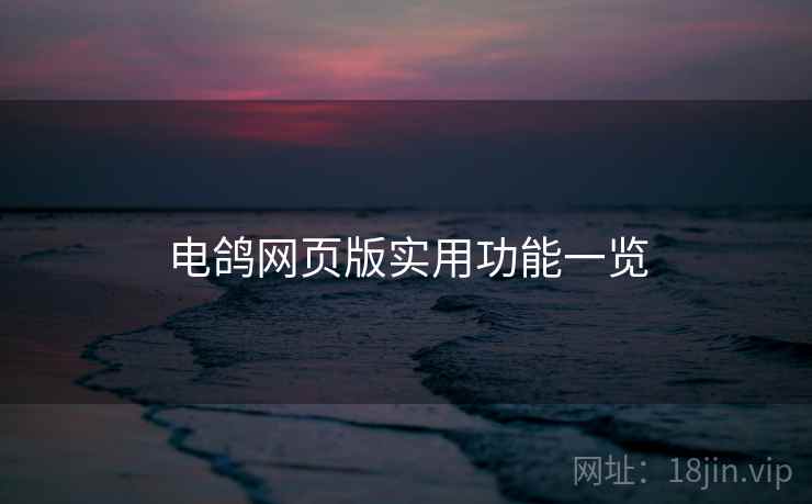 电鸽网页版实用功能一览