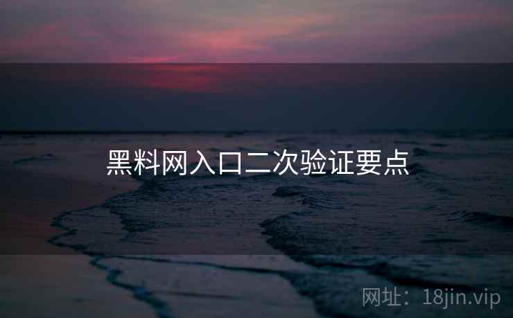 黑料网入口二次验证要点