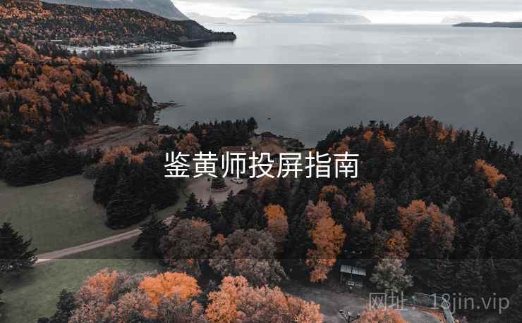 鉴黄师投屏指南