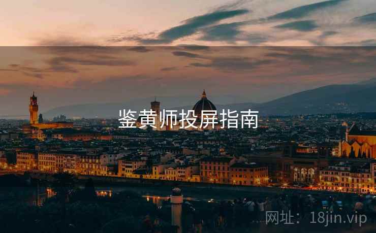 鉴黄师投屏指南