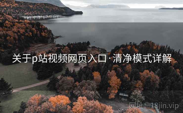 关于p站视频网页入口·清净模式详解