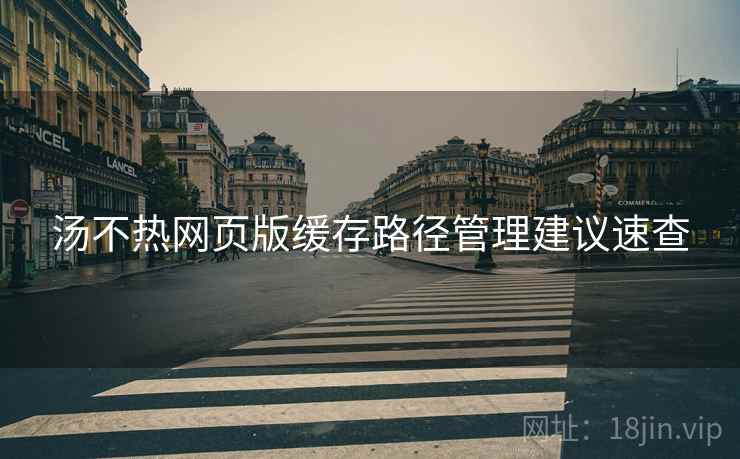汤不热网页版缓存路径管理建议速查