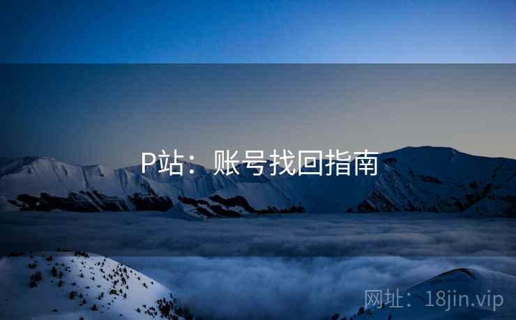 P站：账号找回指南