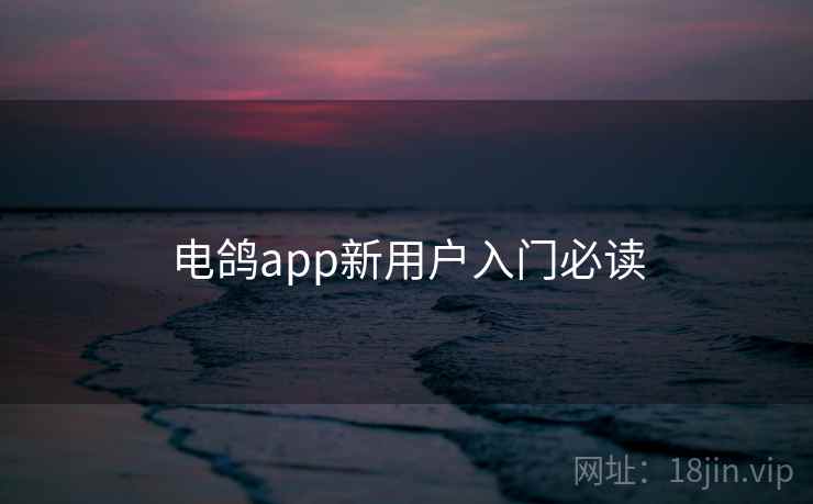 电鸽app新用户入门必读