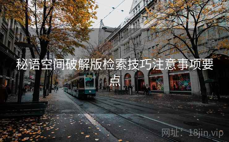 秘语空间破解版检索技巧注意事项要点