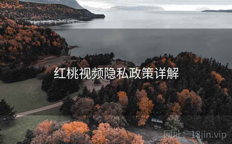 红桃视频隐私政策详解