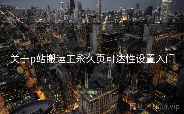 关于p站搬运工永久页可达性设置入门