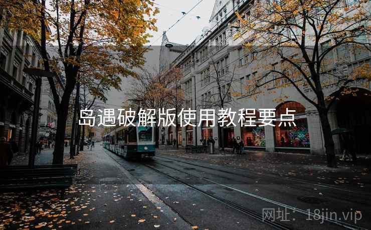 岛遇破解版使用教程要点