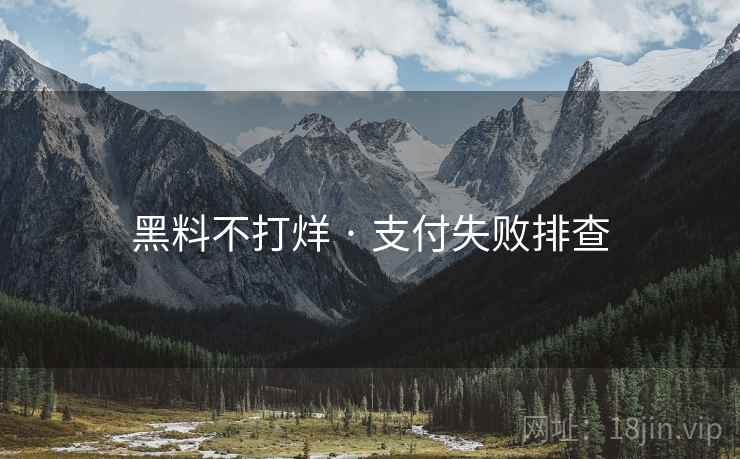 黑料不打烊 · 支付失败排查