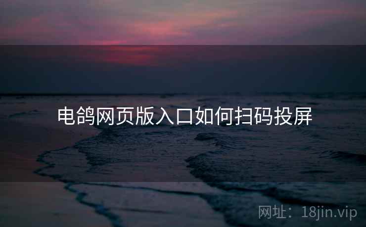 电鸽网页版入口如何扫码投屏