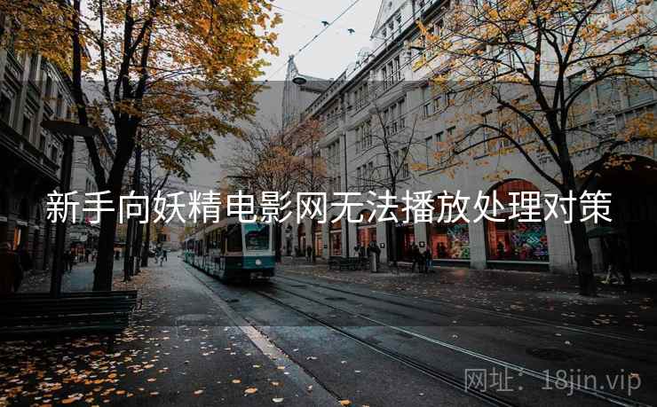 新手向妖精电影网无法播放处理对策