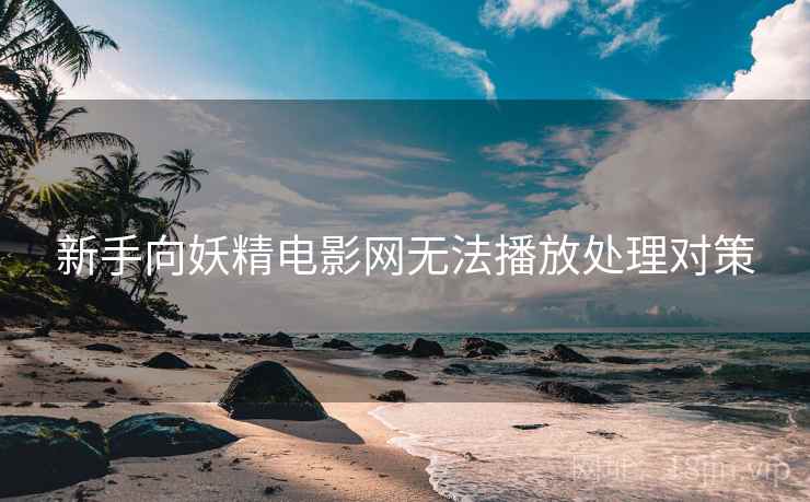 新手向妖精电影网无法播放处理对策