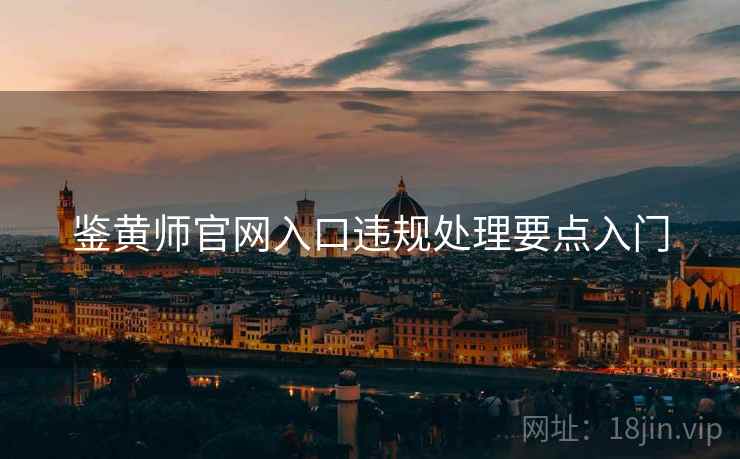 鉴黄师官网入口违规处理要点入门