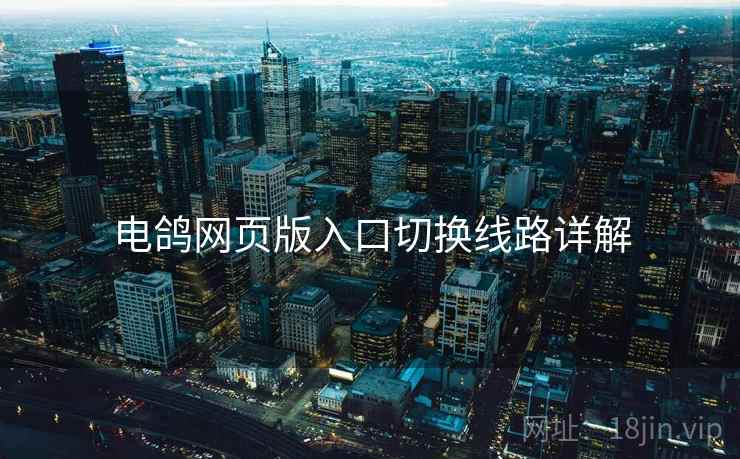 电鸽网页版入口切换线路详解