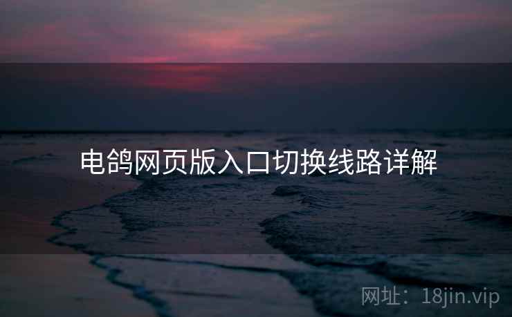 电鸽网页版入口切换线路详解