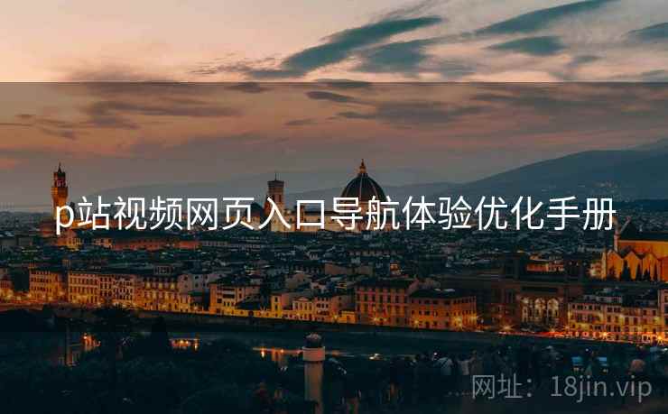 p站视频网页入口导航体验优化手册