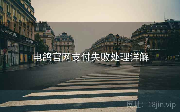 电鸽官网支付失败处理详解
