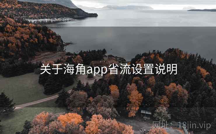 关于海角app省流设置说明