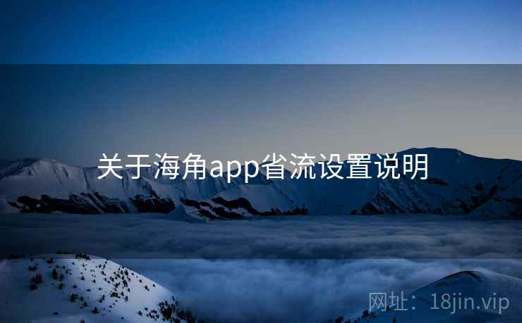 关于海角app省流设置说明
