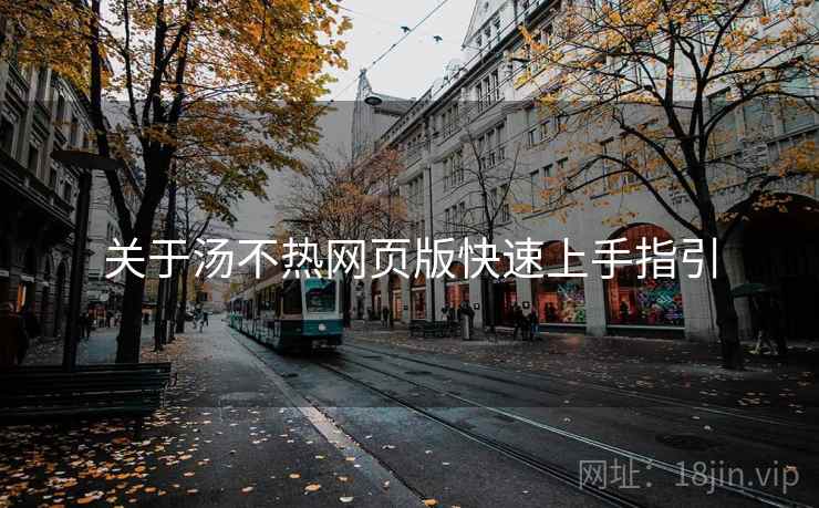 关于汤不热网页版快速上手指引