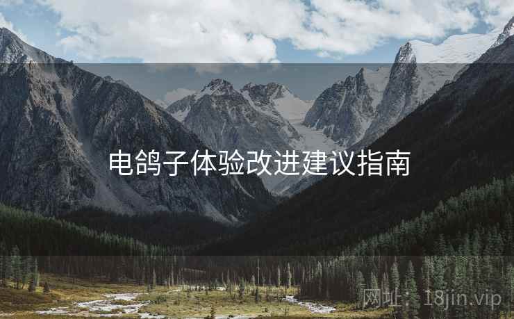 电鸽子体验改进建议指南