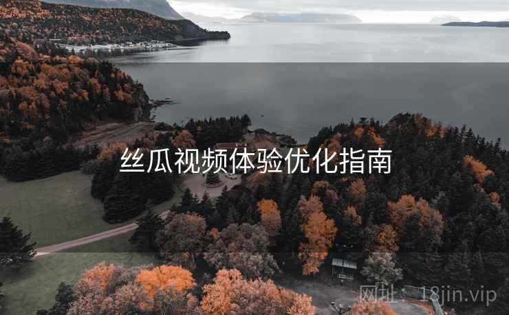 丝瓜视频体验优化指南